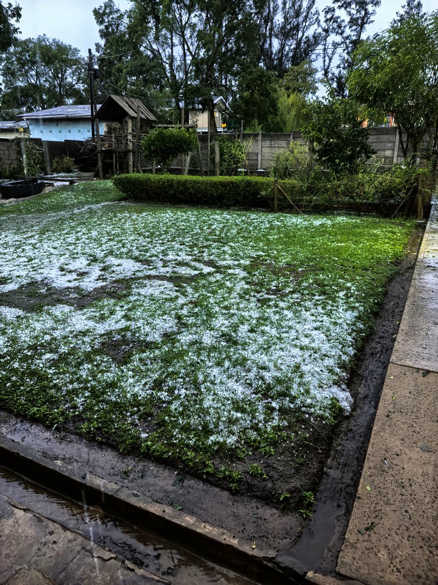 Natural disaster right now this Friday 13th February 2026 in South Africa.
Climate change is a devastating reality. 😬