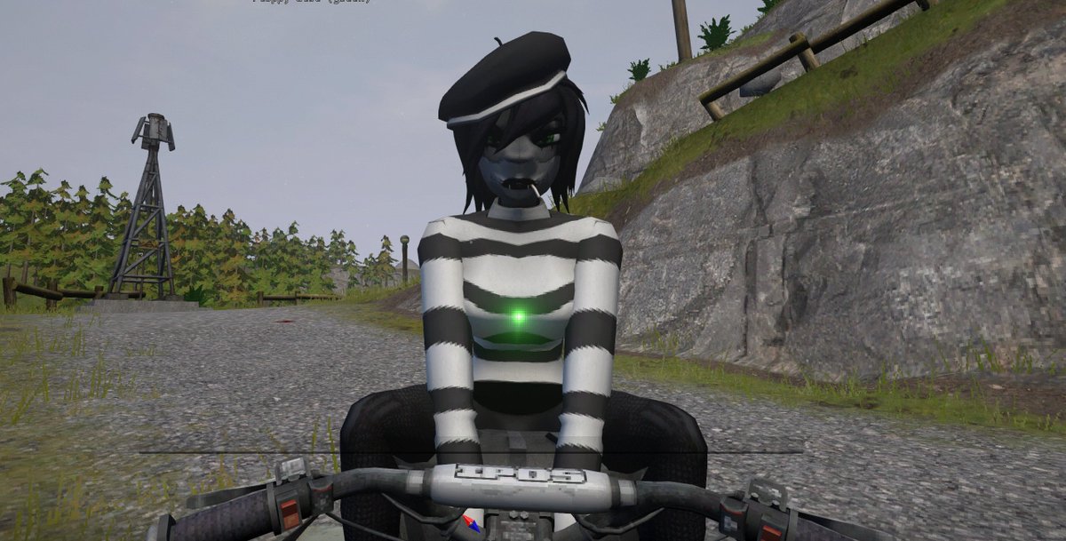 Meeka 🦝 tweet media