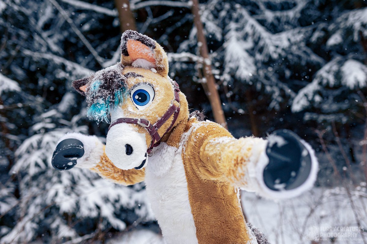 Johnny Colt tweet media