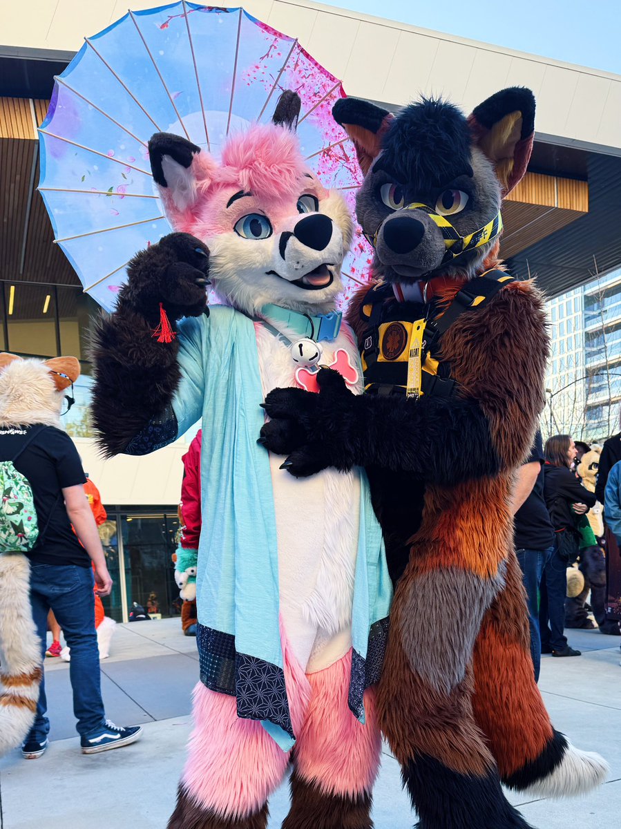 pjfoxes 🦊 🩷 tweet media