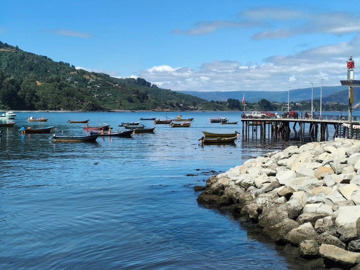 #Valdiviacl Centinilla, Los molinos.

Inspiration for future paintings 🫰