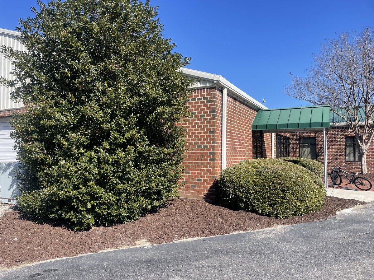 CU Sports Turf tweet media