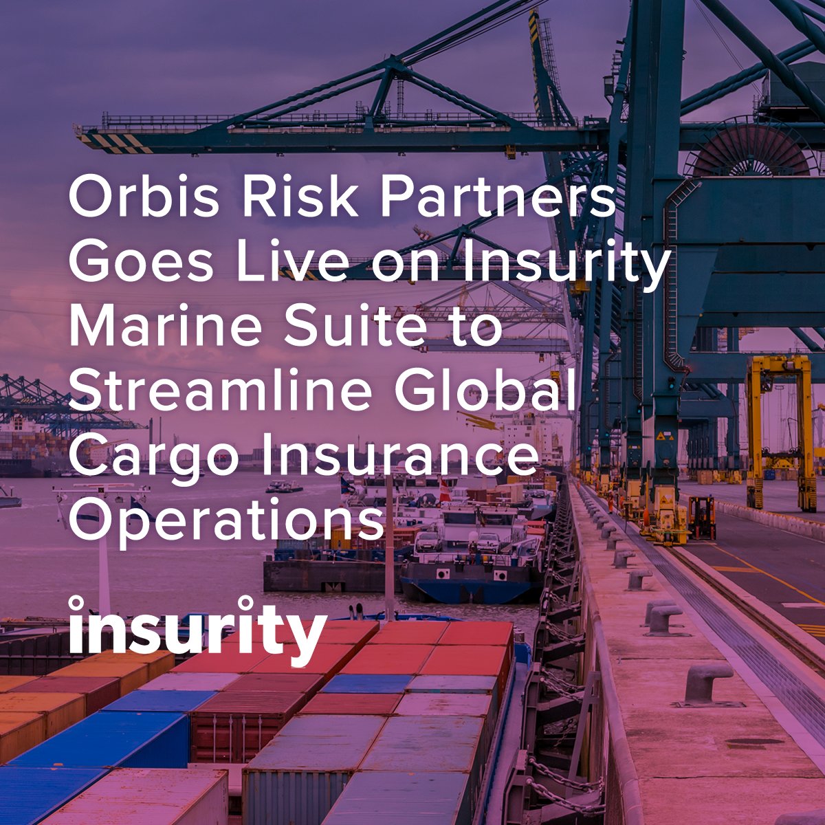 Insurity tweet media