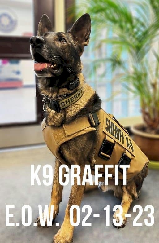 Honoring Jefferson County Sheriff K-9 Graffit, Unknown - February 13, 2023, LODD, Golden, Colorado
