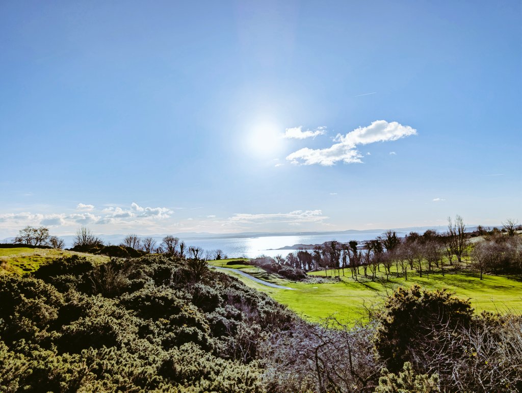 Andy Davidson tweet media