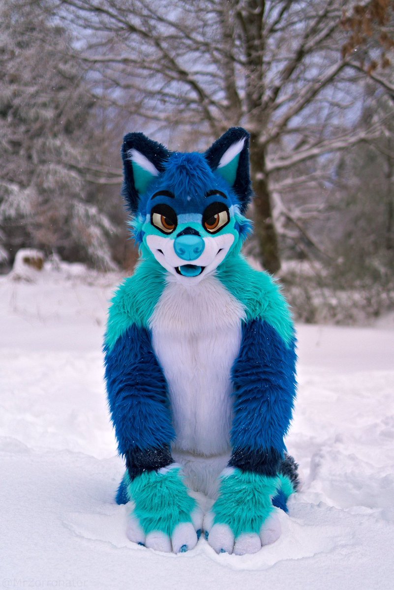 doggo likes to play in the snow ❄️🐾

📸 <a href="/Zorronator/">MrZorronator</a> 

#FursuitFriday