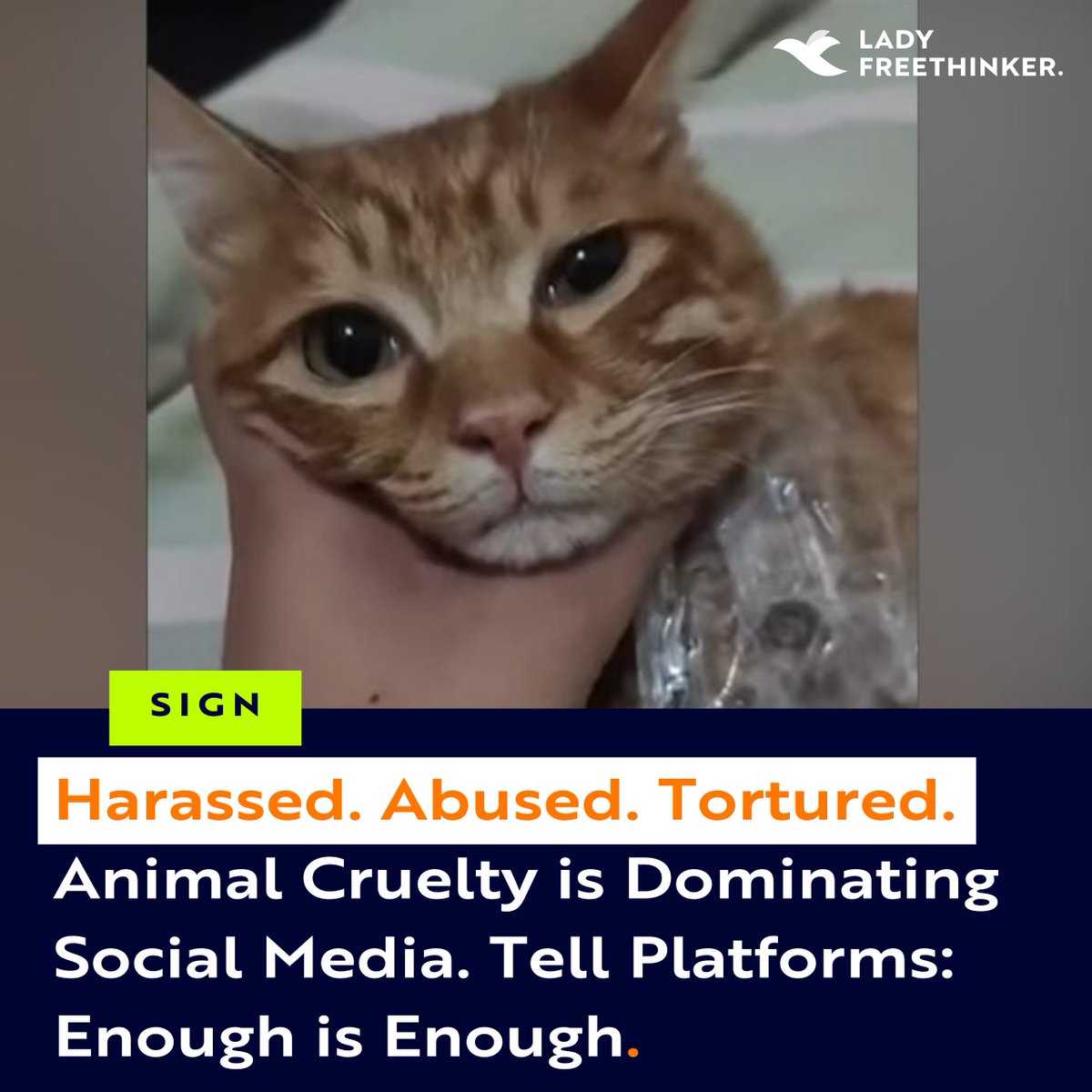 Animal cruelty videos are spreading across Facebook, TikTok, X, YouTube, and Instagram. LFT investigators found 2.3K links, over a billion views &amp; most content stayed up even after being reported. Sign to demand platforms remove cruelty: ladyfreethinker.org/sign-demand-so…