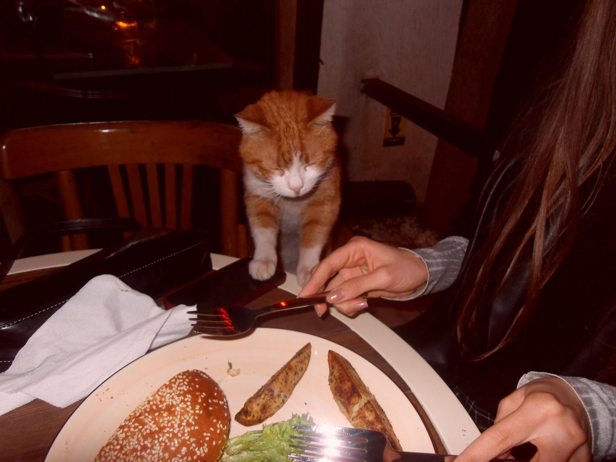 Last night. 🐦‍🔥