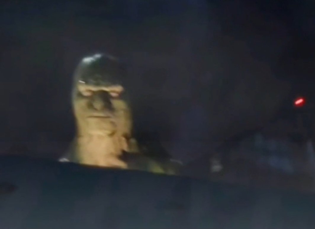 Tan reflexiva y te vi en las mismas malas andanzas con otras malas compañias. Por respeto a otros no dire nada, pero la audacia que tienes. 

El video es solo un intento de banquearte y hacer control de daño, a mi no me vas a engañar.