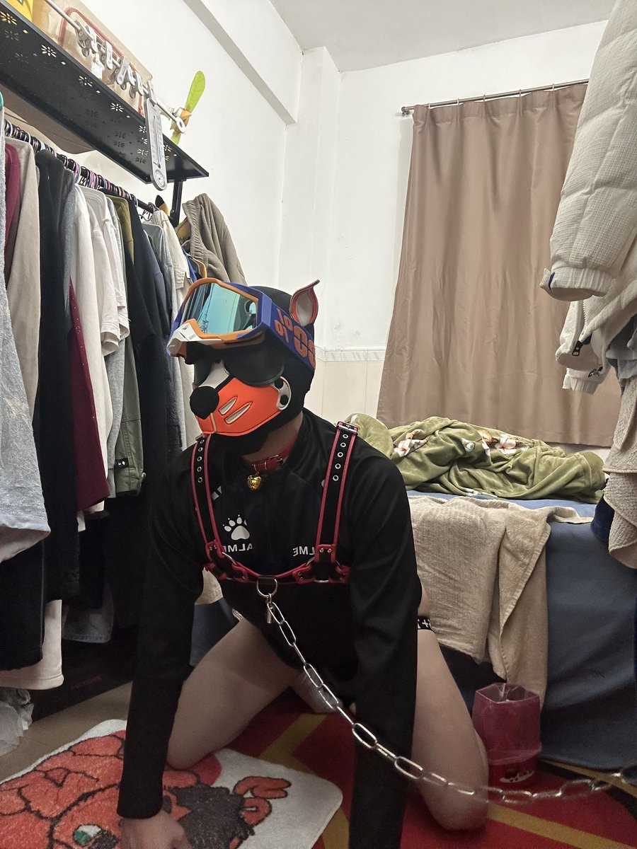 可乐🐶 tweet media