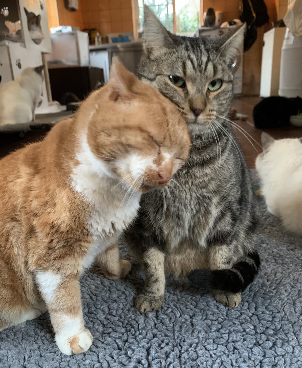 fête des amoureux demain!