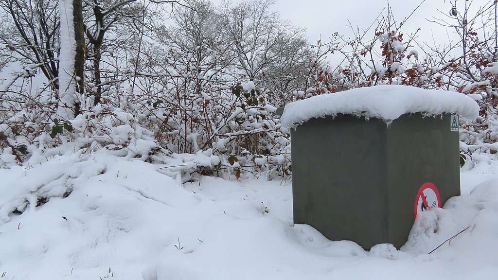 ➡️ Robert de Vries tweet media