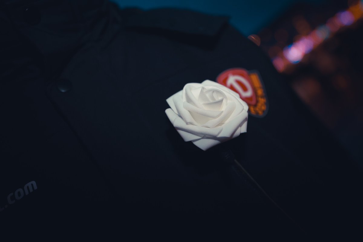 SG Dynamo Dresden tweet media