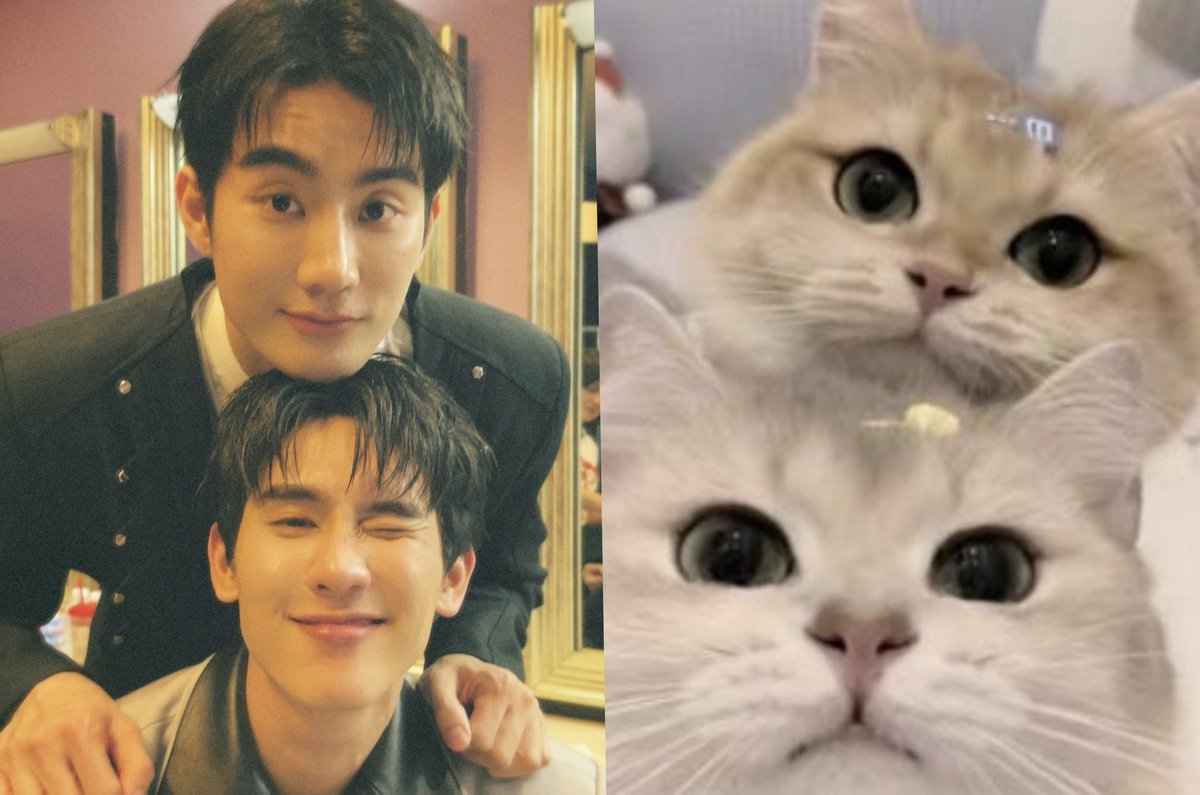 เหมือนเป๊ะเลย เหมียวฟอสเหมียวบุ๊คน่ารักมาก😺

FORCEBOOK MOS FINAL EP
#MelodyOfSecretsFinalEP