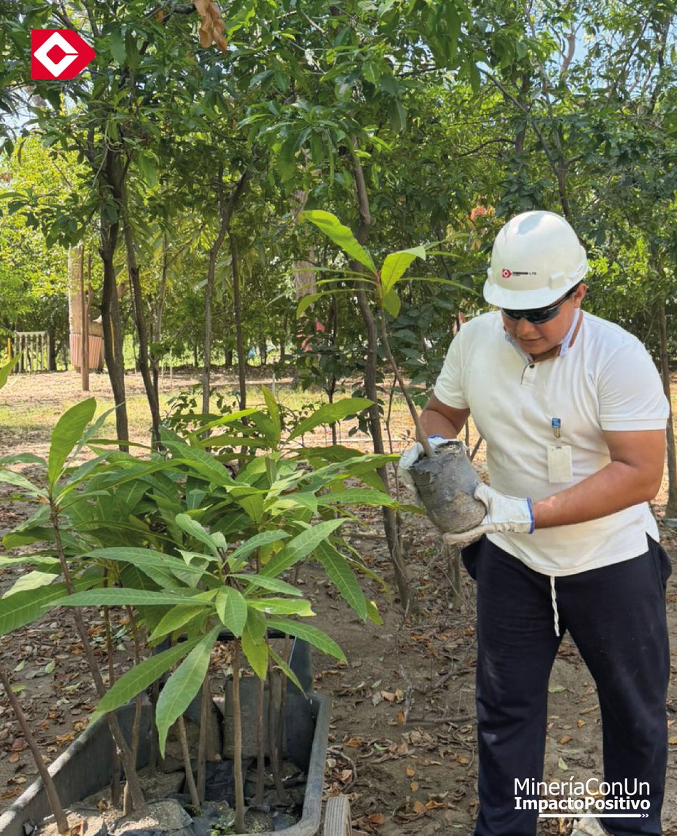 Drummond Ltd. Colombia tweet media