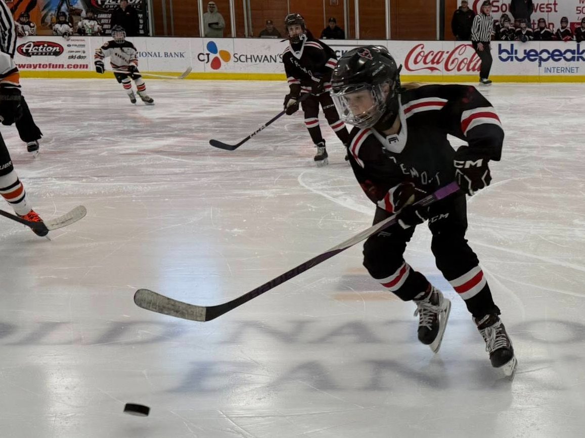 Fremont Ice Association tweet media