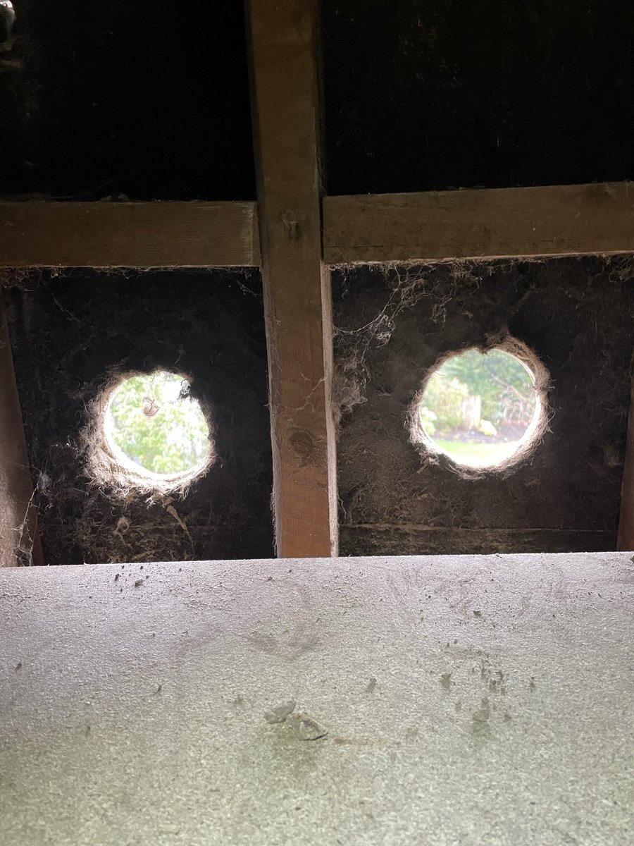 Nixon Electrical Contractors tweet media