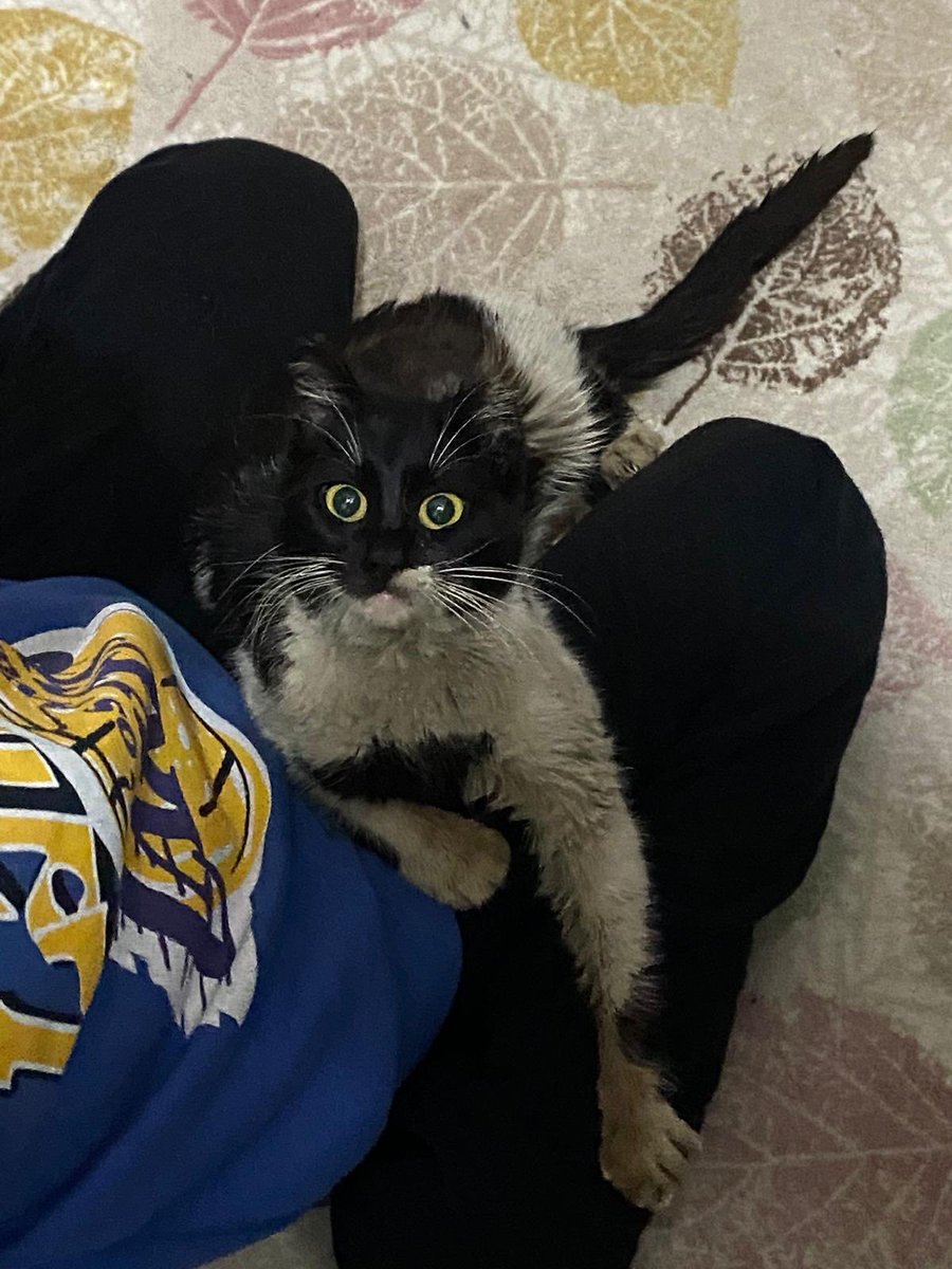 yakında yıkılacak binada kalıyormuş şu an sokakta çok hastalanıyormuş lütfen yuva olun İstanbul 🥺