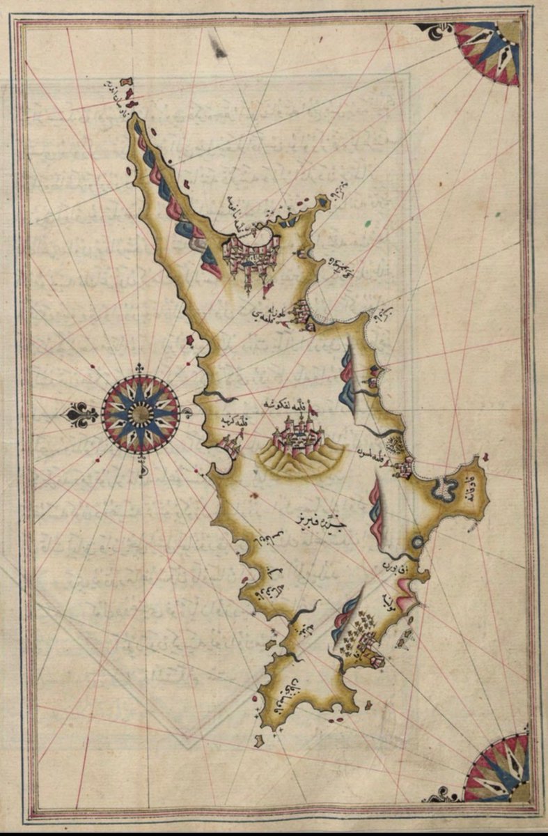 seher erdem örs🇵🇸🔻 tweet media