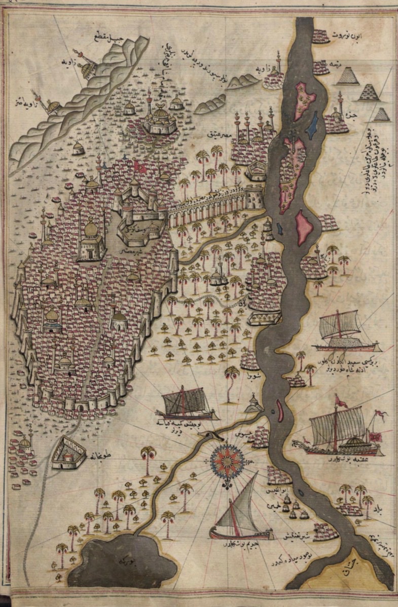 seher erdem örs🇵🇸🔻 tweet media