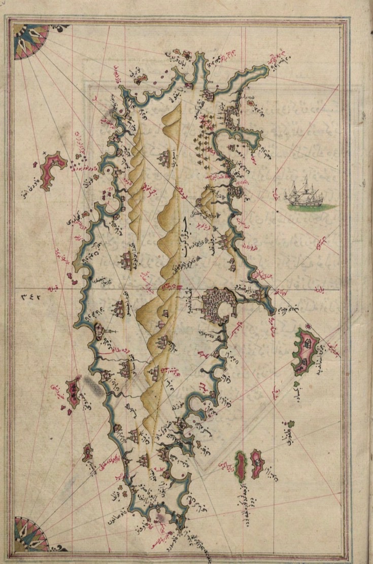 seher erdem örs🇵🇸🔻 tweet media