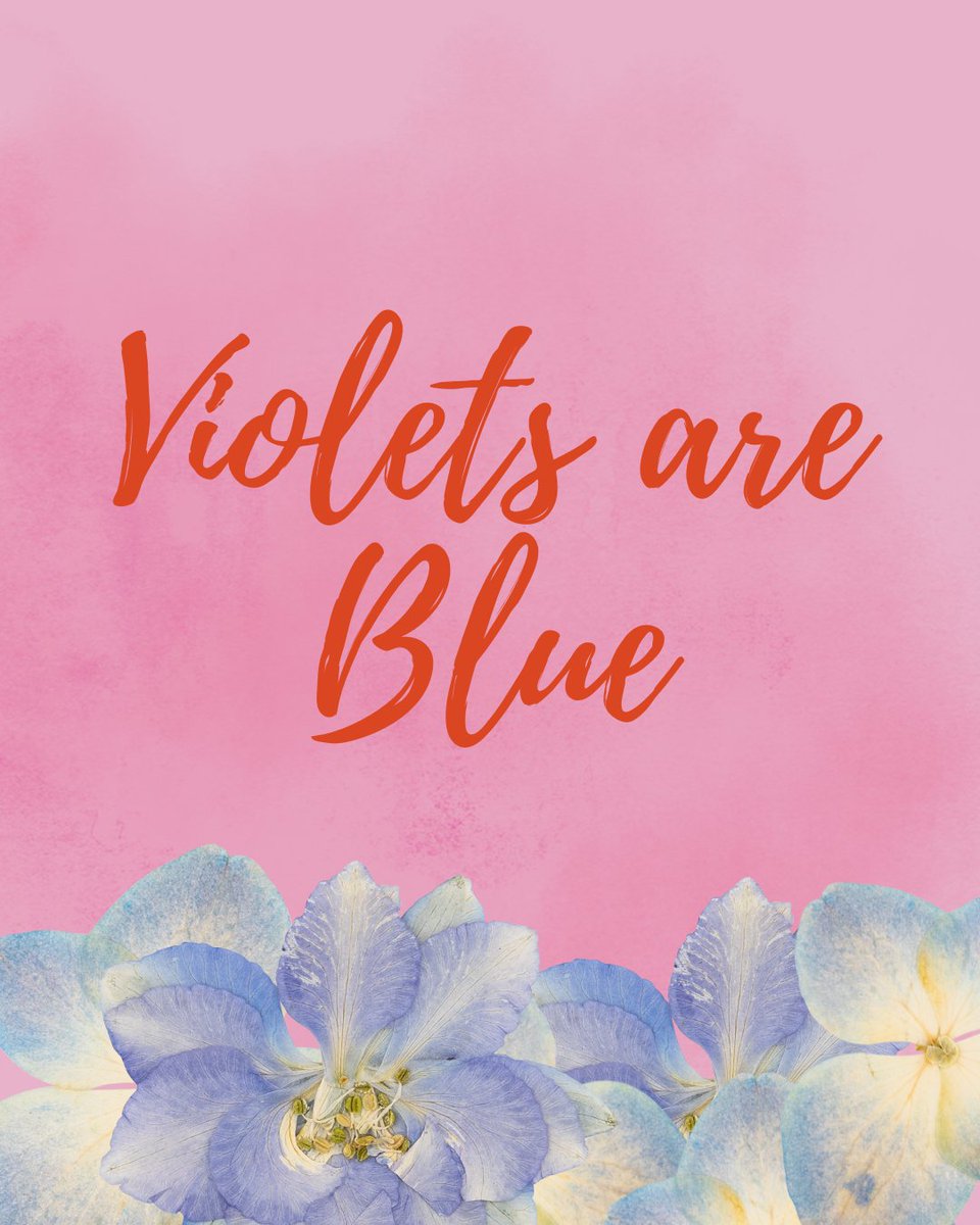 Nevada DMV tweet media