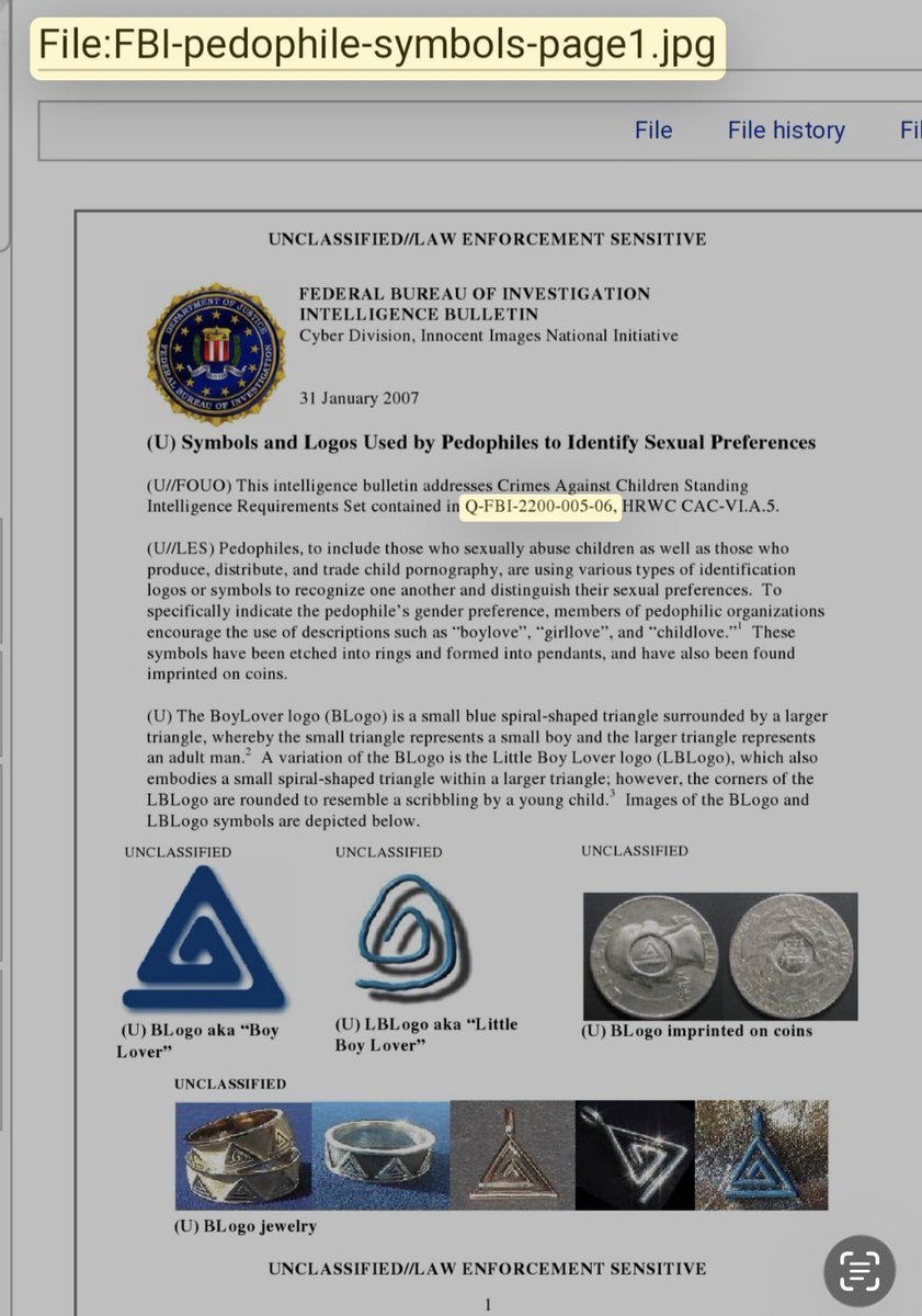 TIKTQKTERRY's tweet image. Just in case yall haven’t seen the FBI docs!