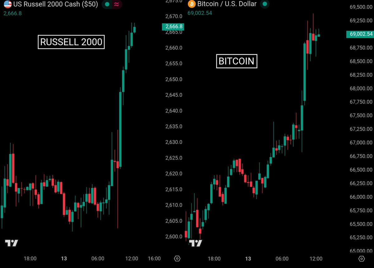 Bull Theory tweet media