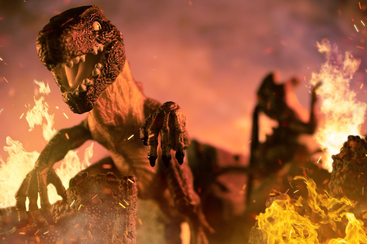 Revolutionaryphotography21 tweet media