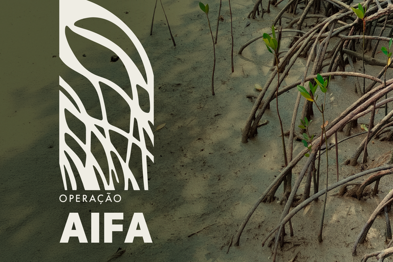 MPF participa da 30ª fase da Aifa e identifica aterro irregular no centro histórico de Paranaguá (PR). Ação se estendeu para dois bairros da cidade e inclui a retirada de entulho e o resgate de um cão
mpf.mp.br/o-mpf/unidades…