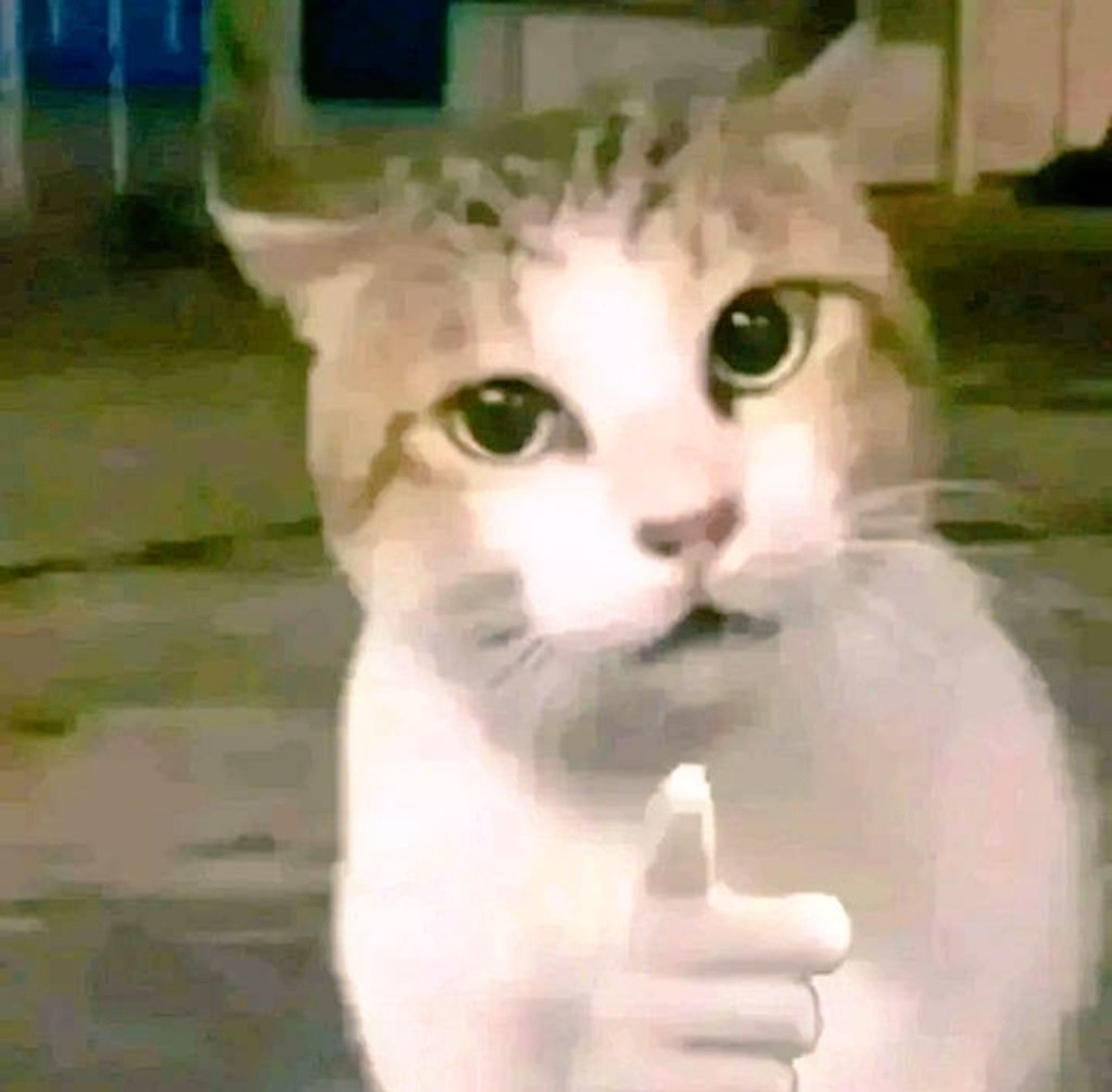 Lucen_SOL tweet media