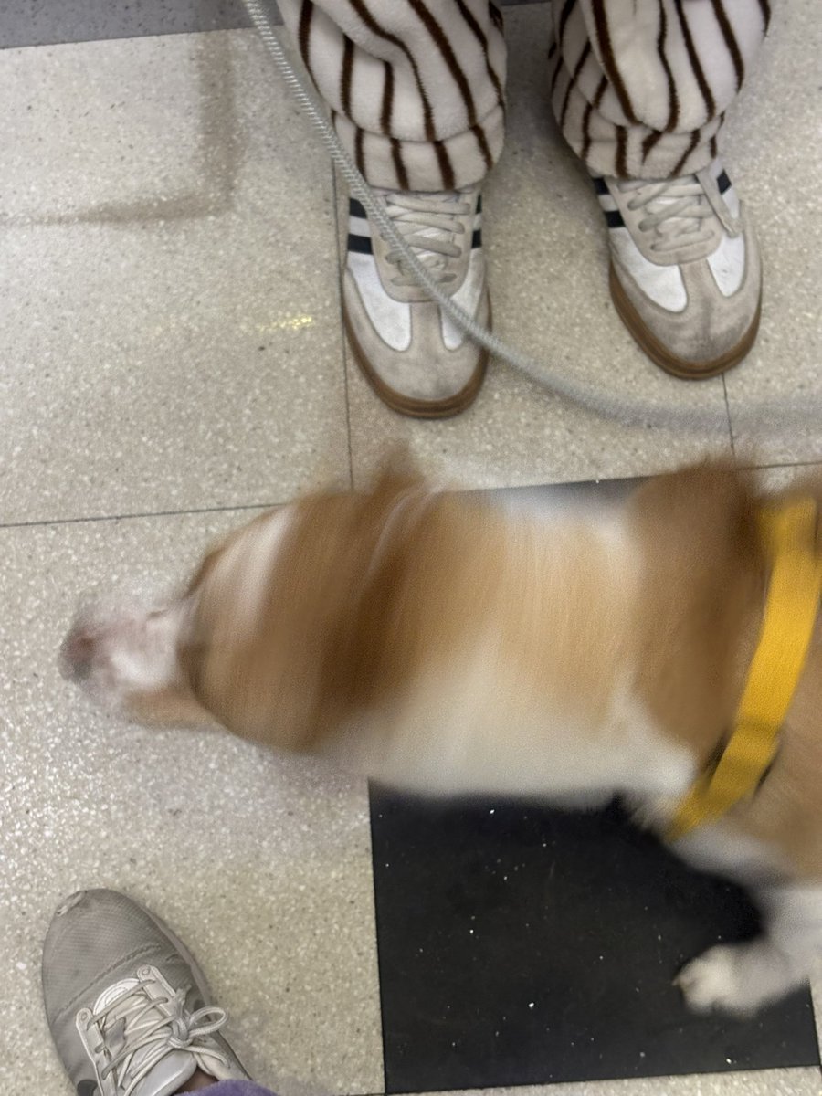 라떼가 회전하면?
 ㄴ라떼 믹스…. 𝓛𝓪𝓽𝓽𝓮 𝓜𝓲𝔁 !!