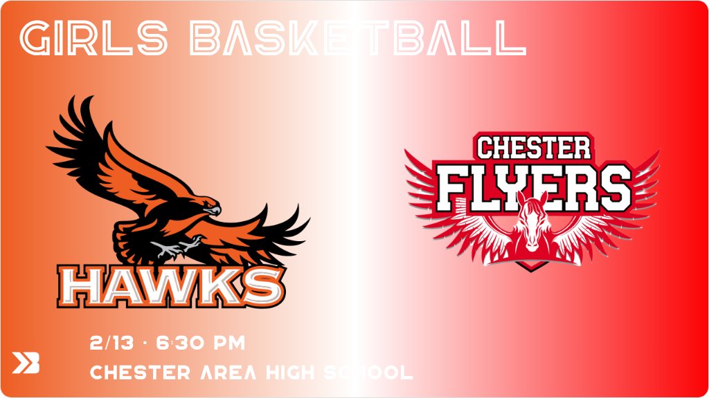 Chester Flyers tweet media