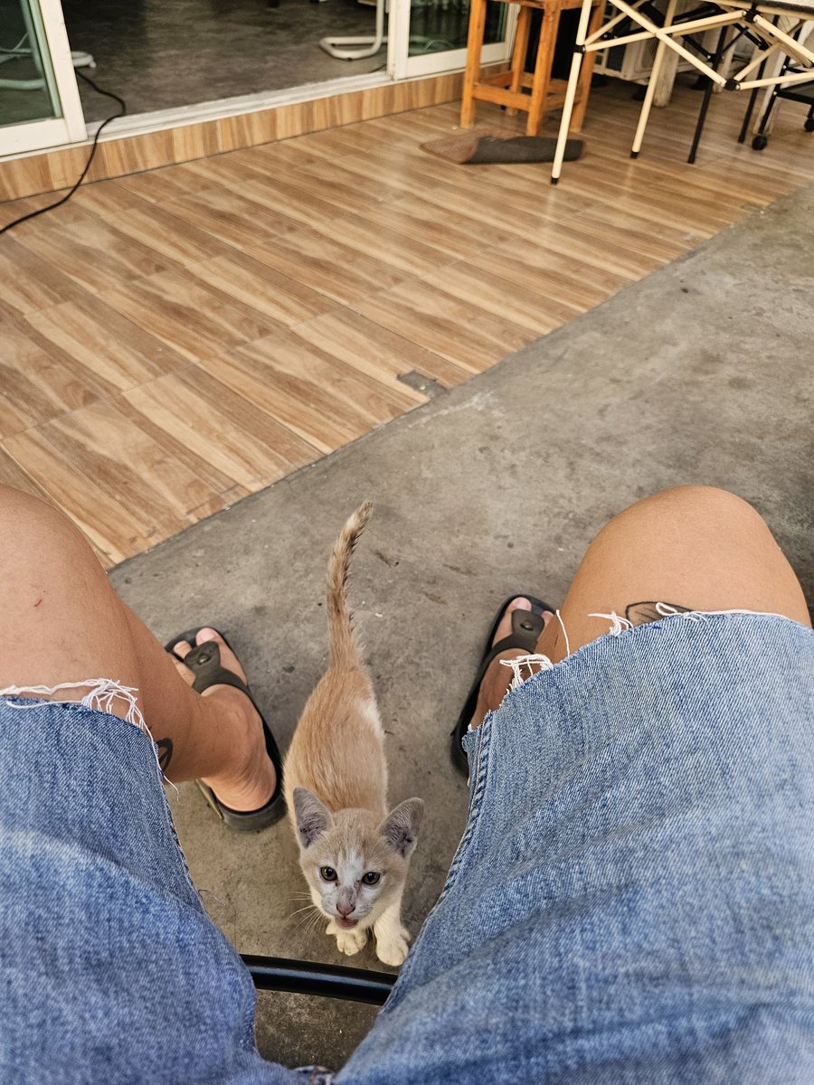 Johnny Mx tweet media