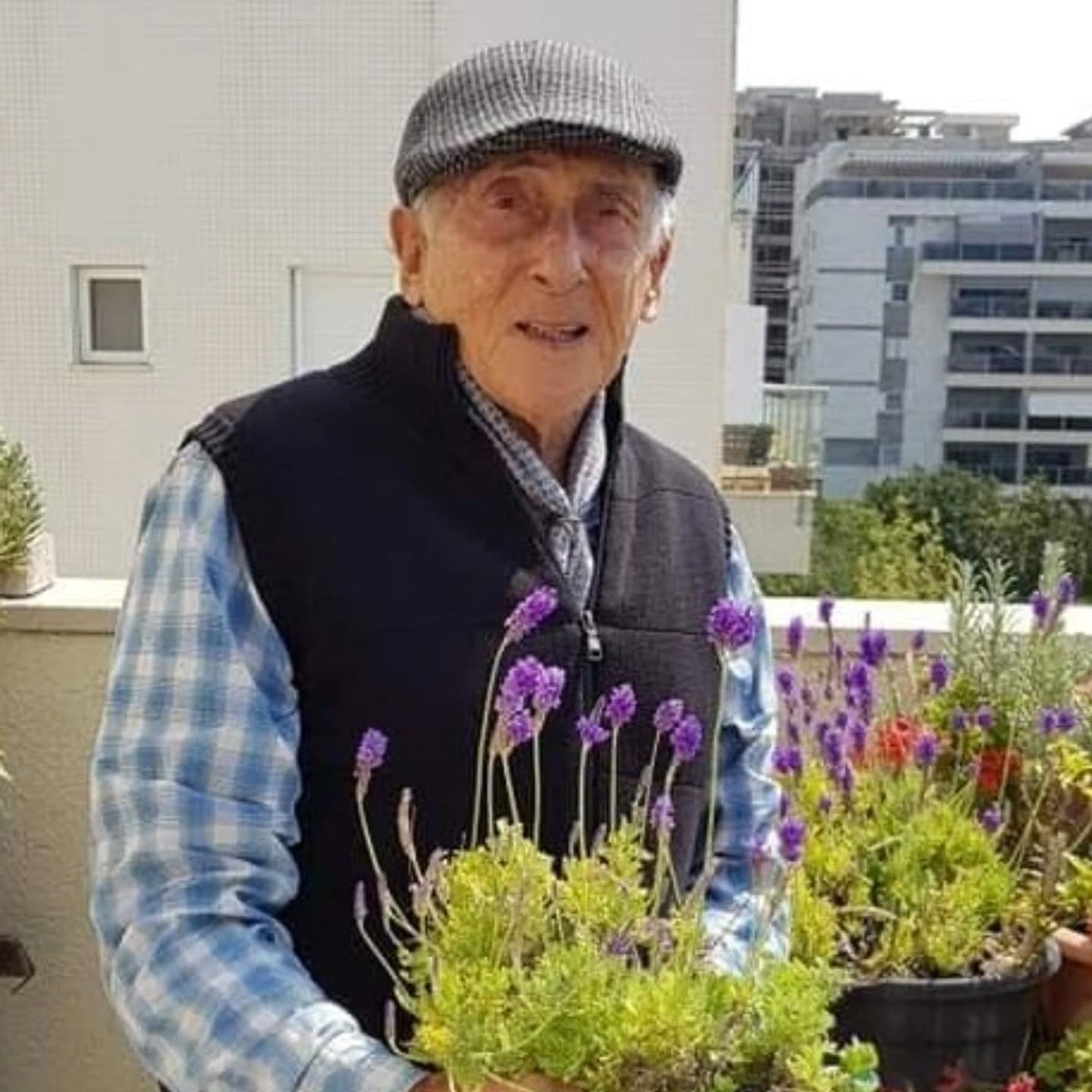 Danny Lew 丹尼刘 דני לו tweet media