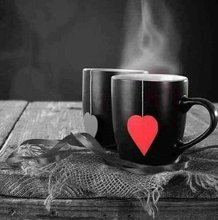 Yüreğiyle konuşan insanlar olsun hayatınızda. Güzel bakışlarıyla sıcak içten ve samimi bi kahve içimlik sohbetleriyle içinizi ısıtan...

☕️♥️☕️♥️

#GeceyeNotum 
#GeceyeBirSöz 
#kesfetteyiz