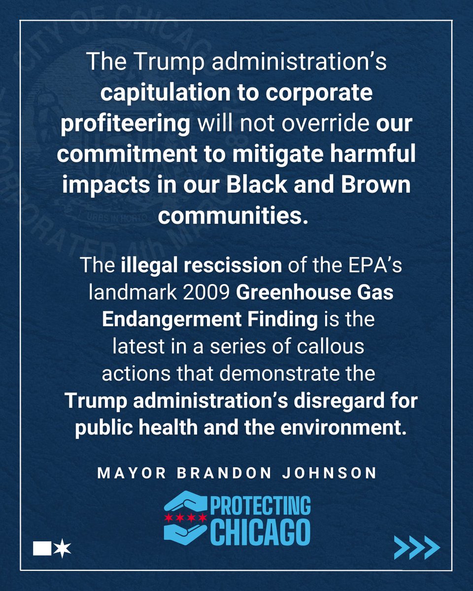 X(구 Twitter)에서 공유되는 이미지 게시물 예시