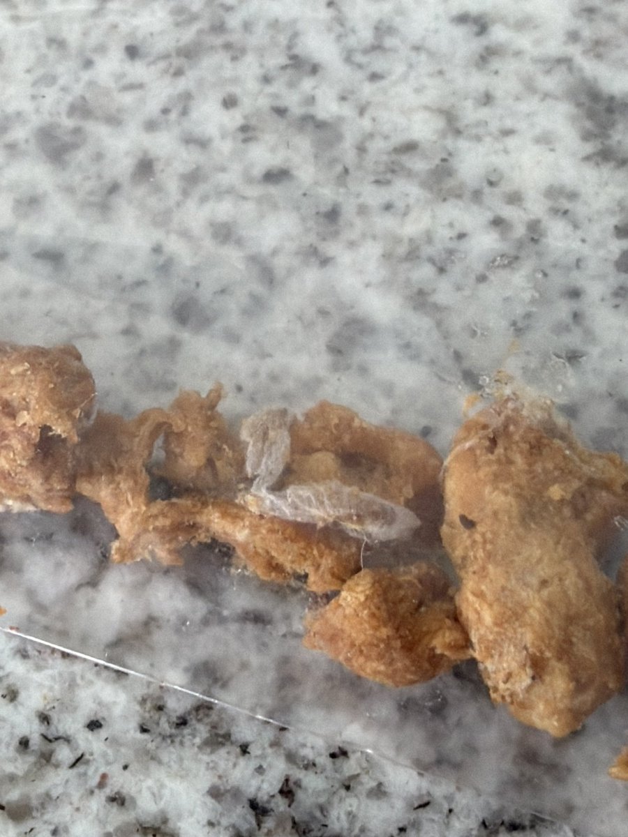 Buffalo, NY SkyWatcher tweet media