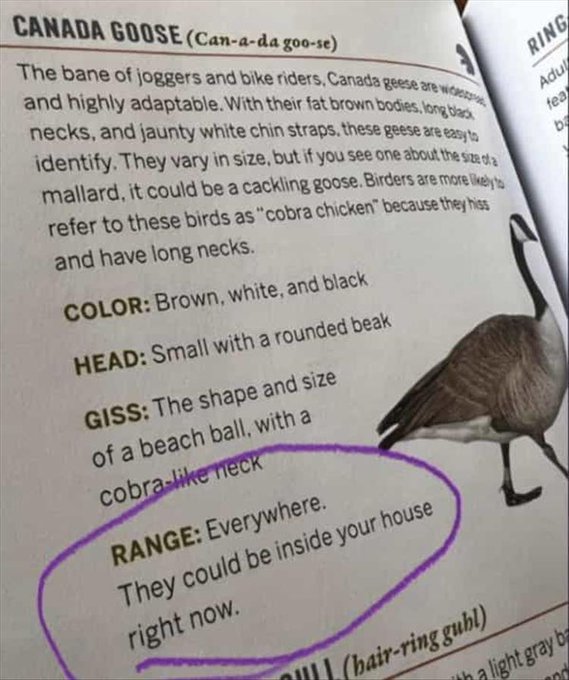 Eric Alper 🎧 (@thatericalper) on Twitter photo 