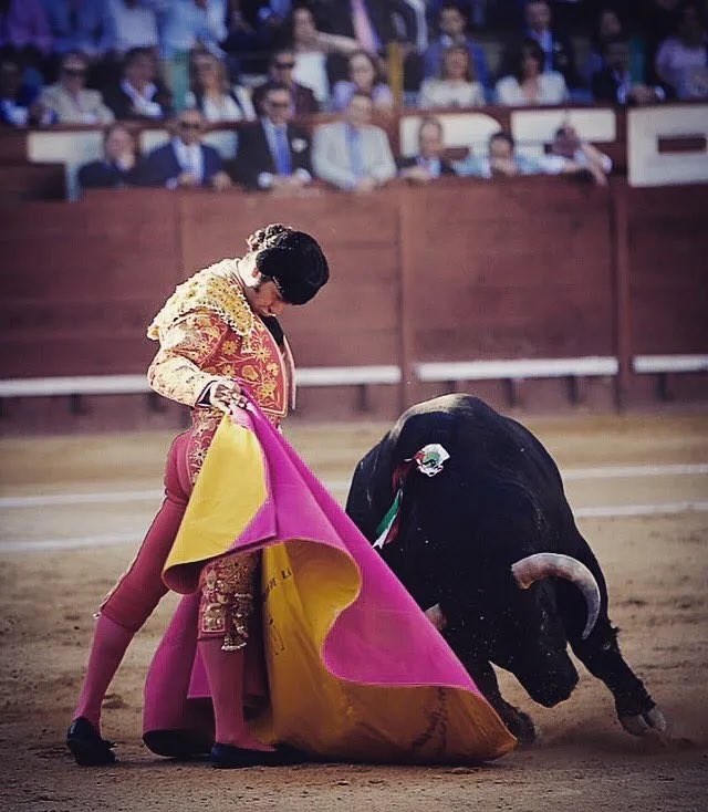 ✨ Morante vuelve a Jerez.

Morante de la Puebla ha cerrado su regreso a Jerez de la Frontera para la próxima Feria del Caballo de Jerez, tras alcanzar un acuerdo con Casa Matilla. Será, salvo cambio oficial, una sola tarde en el coso jerezano, plaza donde el año pasado firmó una