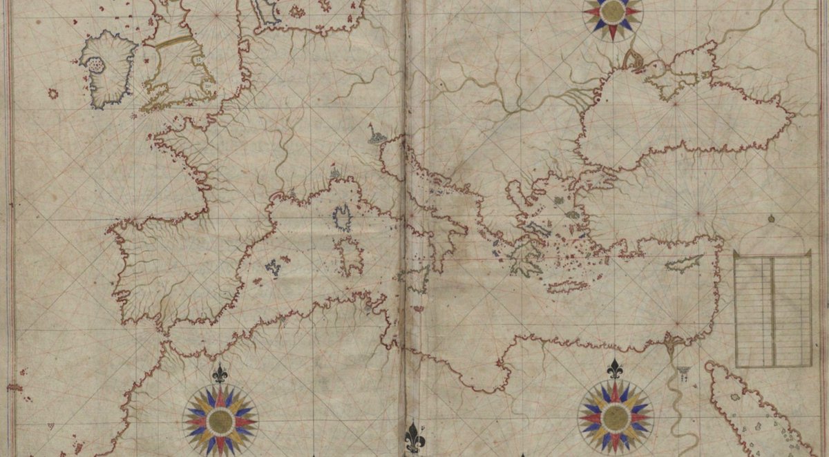 seher erdem örs🇵🇸🔻 tweet media