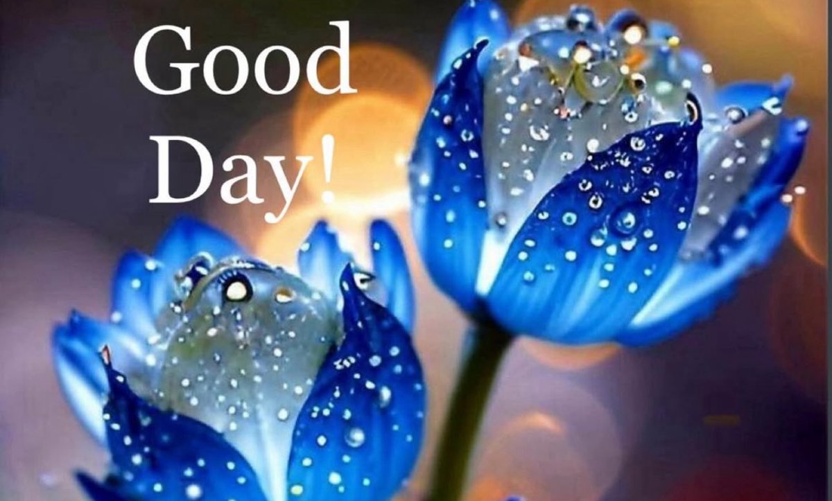 Have A Festive And Fruitful Friday!