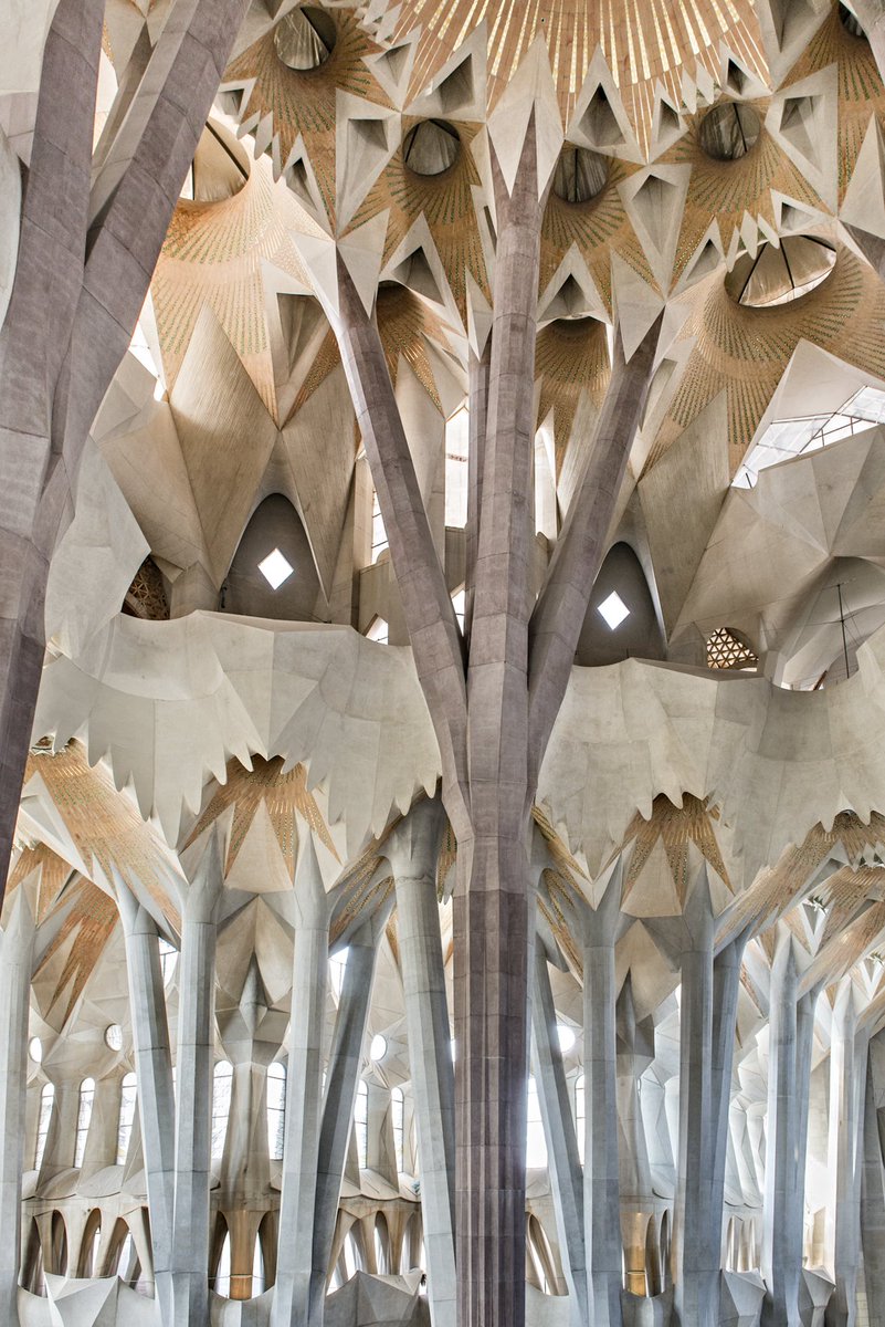 efemarq's tweet photo. Tallada la vida en el moment més dolç com a arquitecte, queden els arbres del Mercat de Santa Caterina com a aproximació als arbres de la Sagrada Família. Perquè sí que es podia ser postmodernista i emocionar tant com havia fet Gaudí: només calia que l'arquitectura "parlés".

Fi. https://t.co/KlcRrhy39h