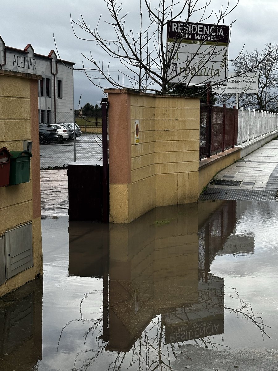 Libertad tweet media