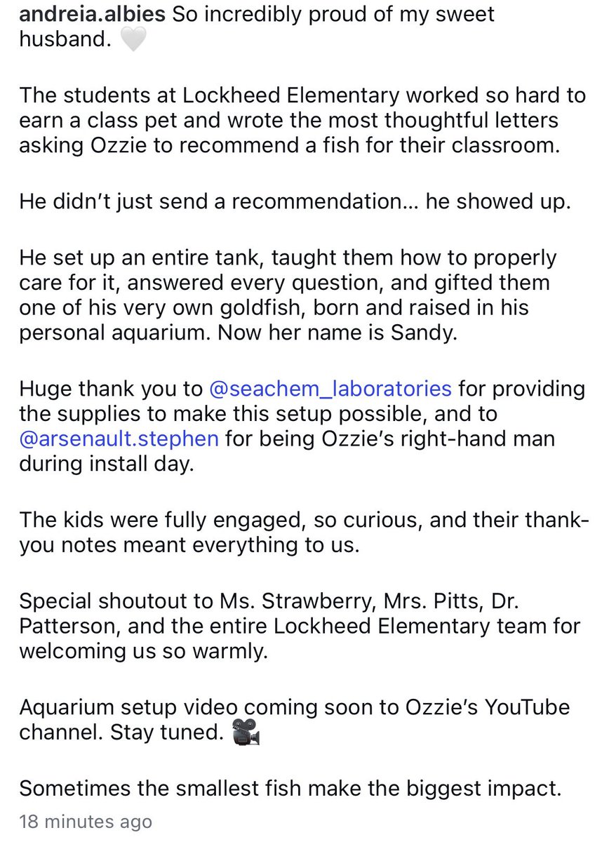 liz 💥 tweet media