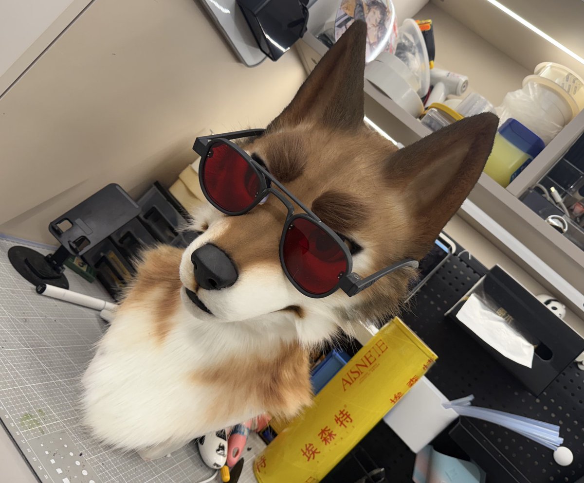 Cool guy🕶️