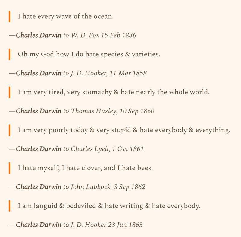 Simon Tanner 🐝 tweet media