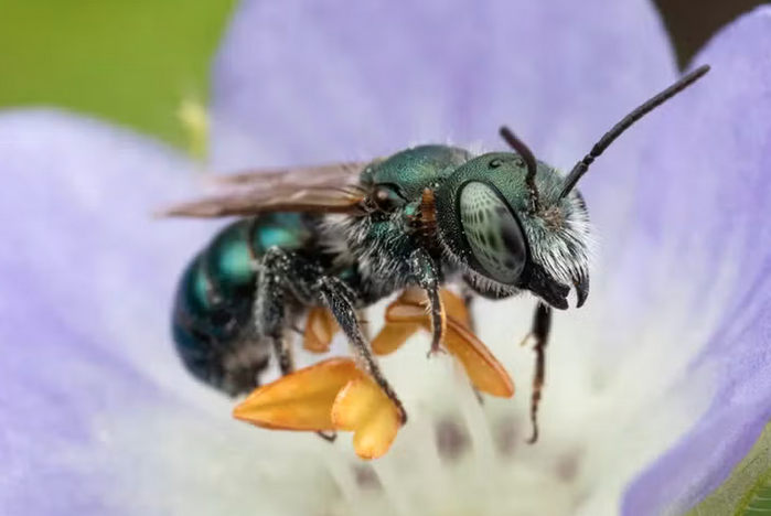 Integrative Biology tweet media