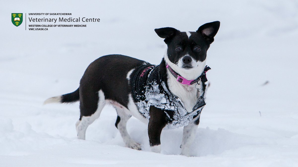 WCVM Today tweet media