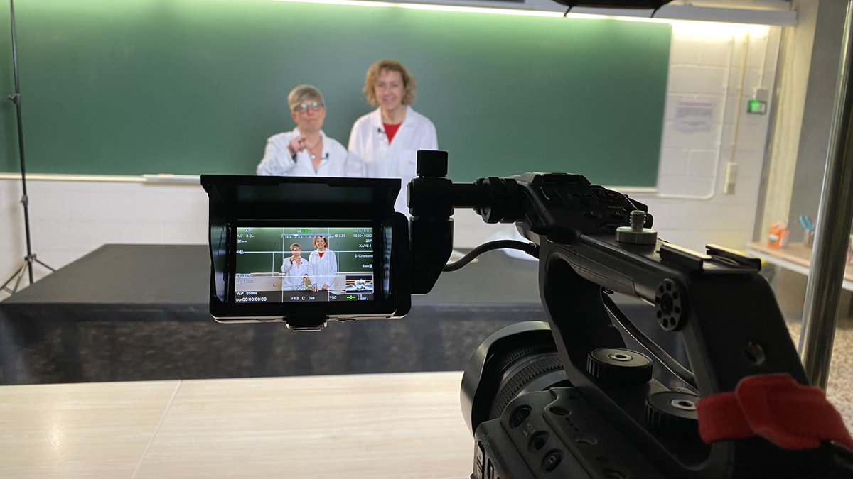 Repte Experimenta tweet media